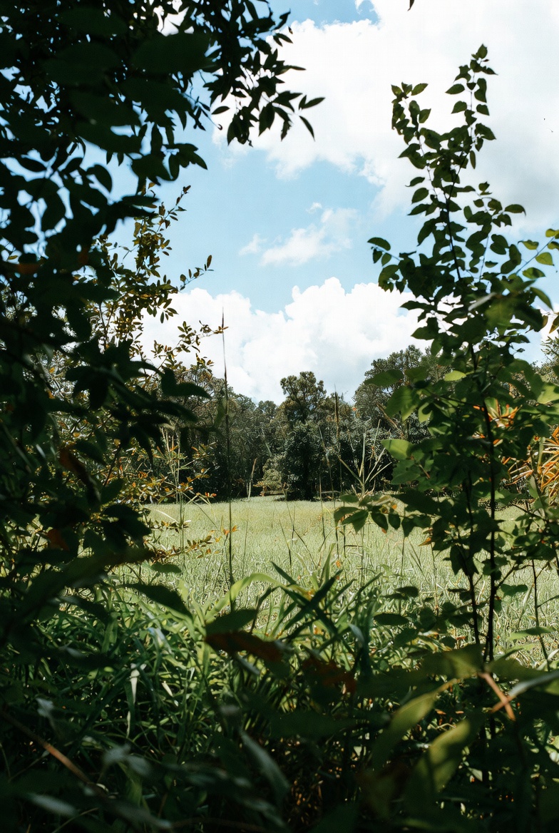 hot and humid in july